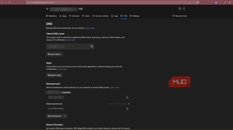 Tailscale DNS page.