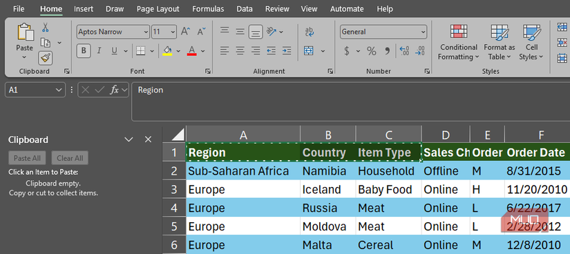 The Format Painter activated in Excel.