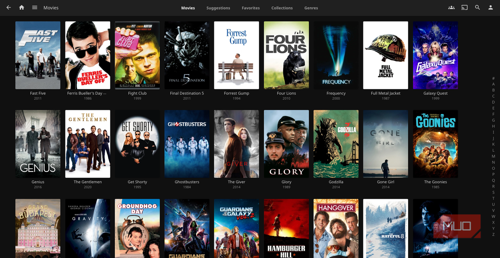 The Jellyfin interface is fairly plain and uninteresting.