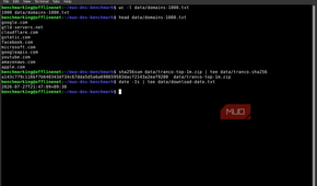 First domains from Tranco 1M+ popular domain name list