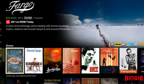 TV shows as they appear in Kodi's Bingie skin.