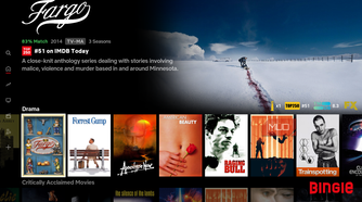 TV shows as they appear in Kodi's Bingie skin.