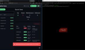 Uptime Kuma monitoring page with deliberate container failure and down result