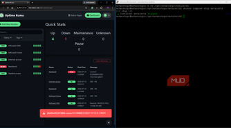 Uptime Kuma monitoring page with deliberate container failure and down result
