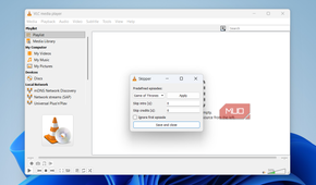 VLC showing skipper add-on on Windows