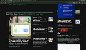 advanced options after opening the webpage