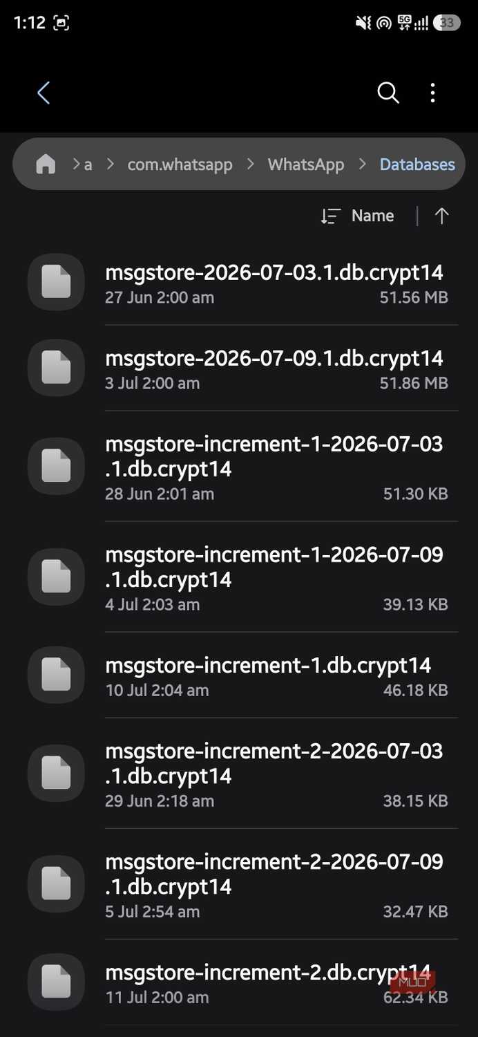 WhatsApp Databases folder displaying encrypted local backup files with .db.crypt14 extensions