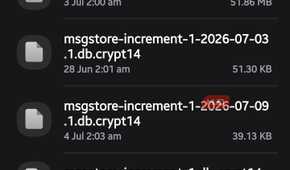 WhatsApp Databases folder displaying encrypted local backup files with .db.crypt14 extensions