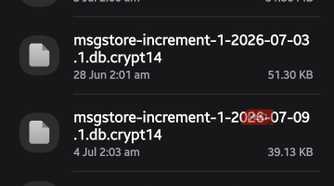 WhatsApp Databases folder displaying encrypted local backup files with .db.crypt14 extensions