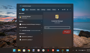 Windows 11 search results for credential manager