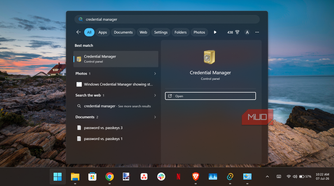 Windows 11 search results for credential manager