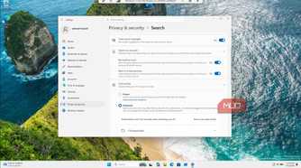 Windows 11 Settings Privacy Security Search Configuration Panel