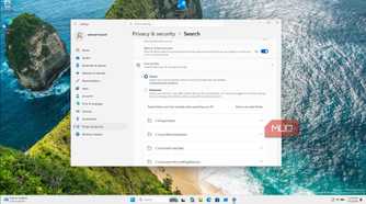 Windows 11 Settings Privacy Security Search Configuration Window