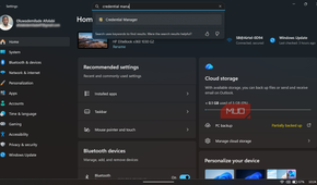 Windows 11 Settings search for Credential Manager