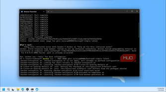 Windows Powershell Docker Container Error Logs Port Allocation Failed