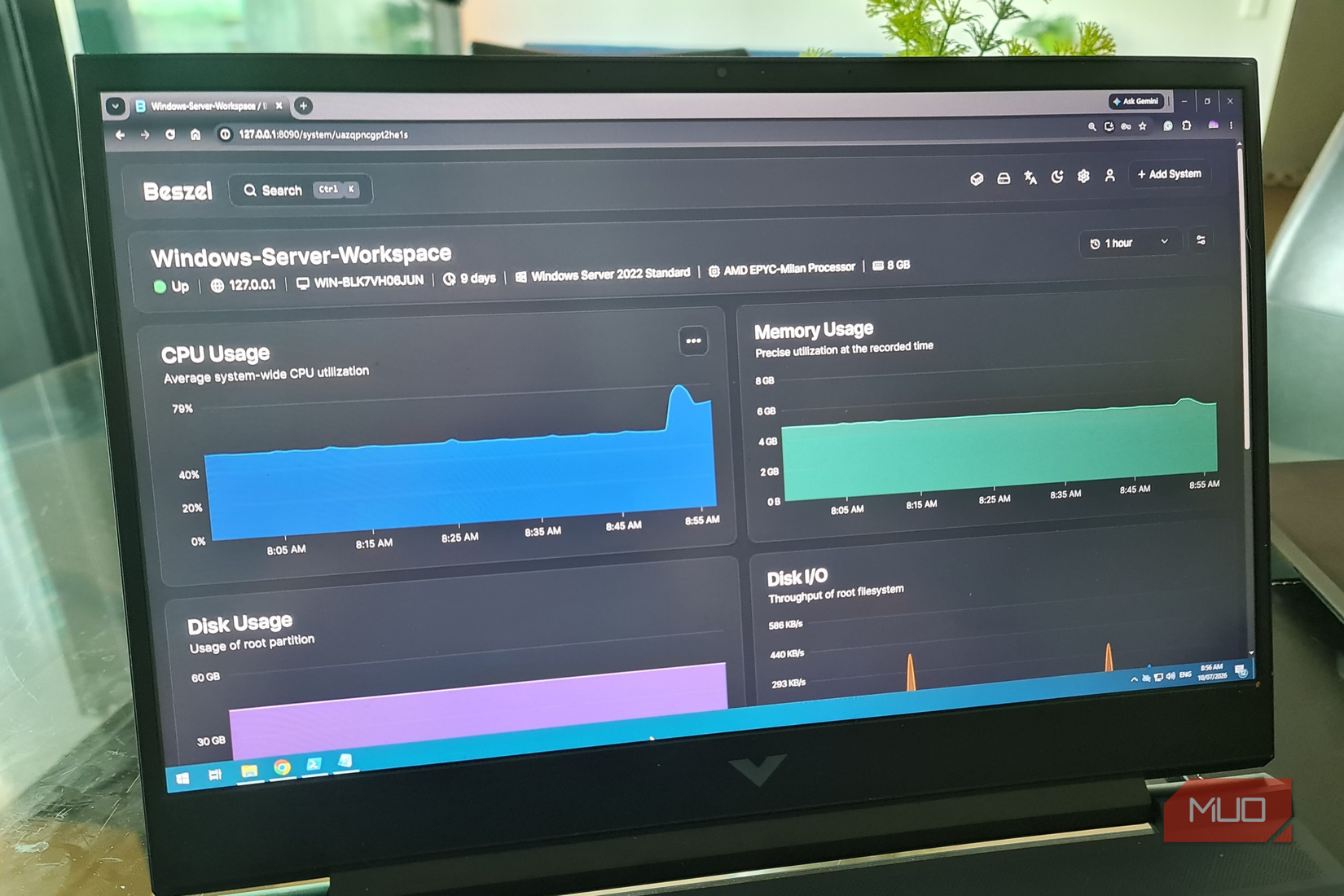 Windows Server VM running Beszel showing real-time system stats over 1-hour period
