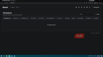 Windows Server with Beszel ready to add a new system