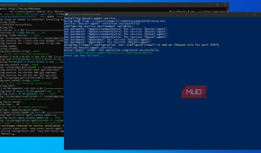 Windows Server installing the Beszel dashboard and agent