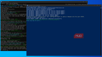 Windows Server installing the Beszel dashboard and agent
