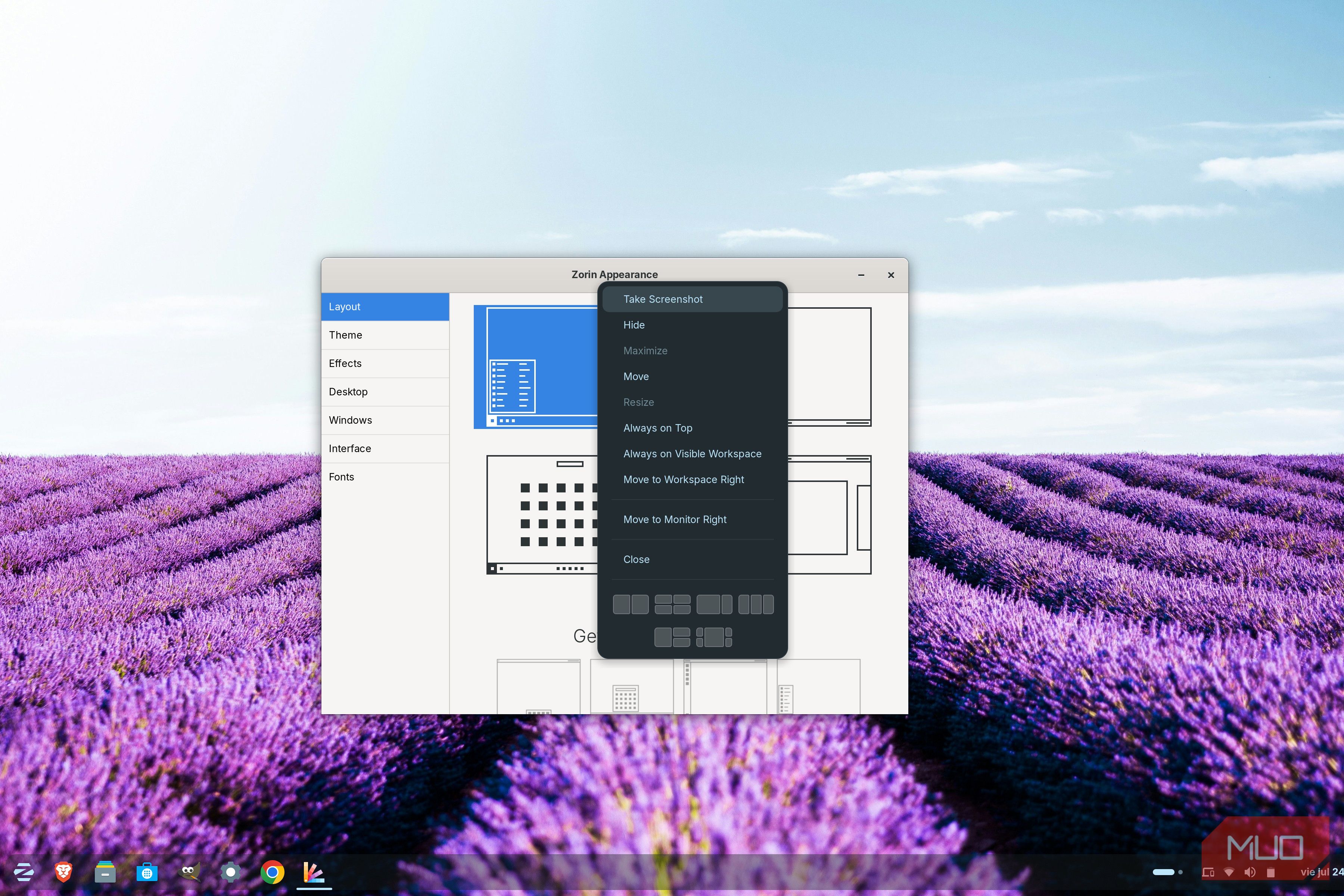 Zorin Apperance window with the window menu open, showing options to move, resize, and manage the application window.