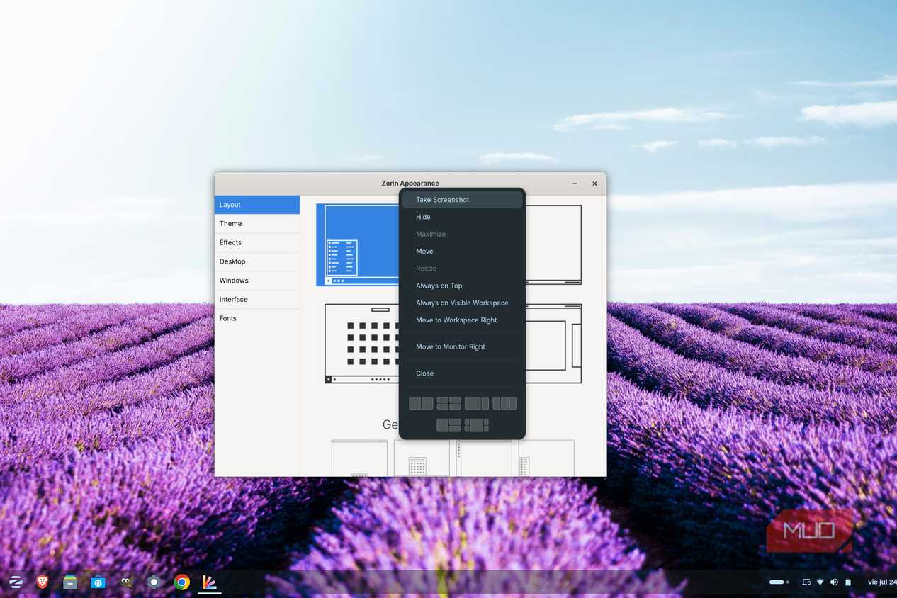 Zorin Apperance window with the window menu open, showing options to move, resize, and manage the application window.