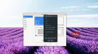 Zorin Apperance window with the window menu open, showing options to move, resize, and manage the application window.