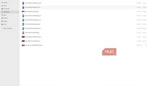 Zorin file manager showing downloaded files