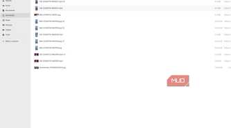Zorin file manager showing downloaded files