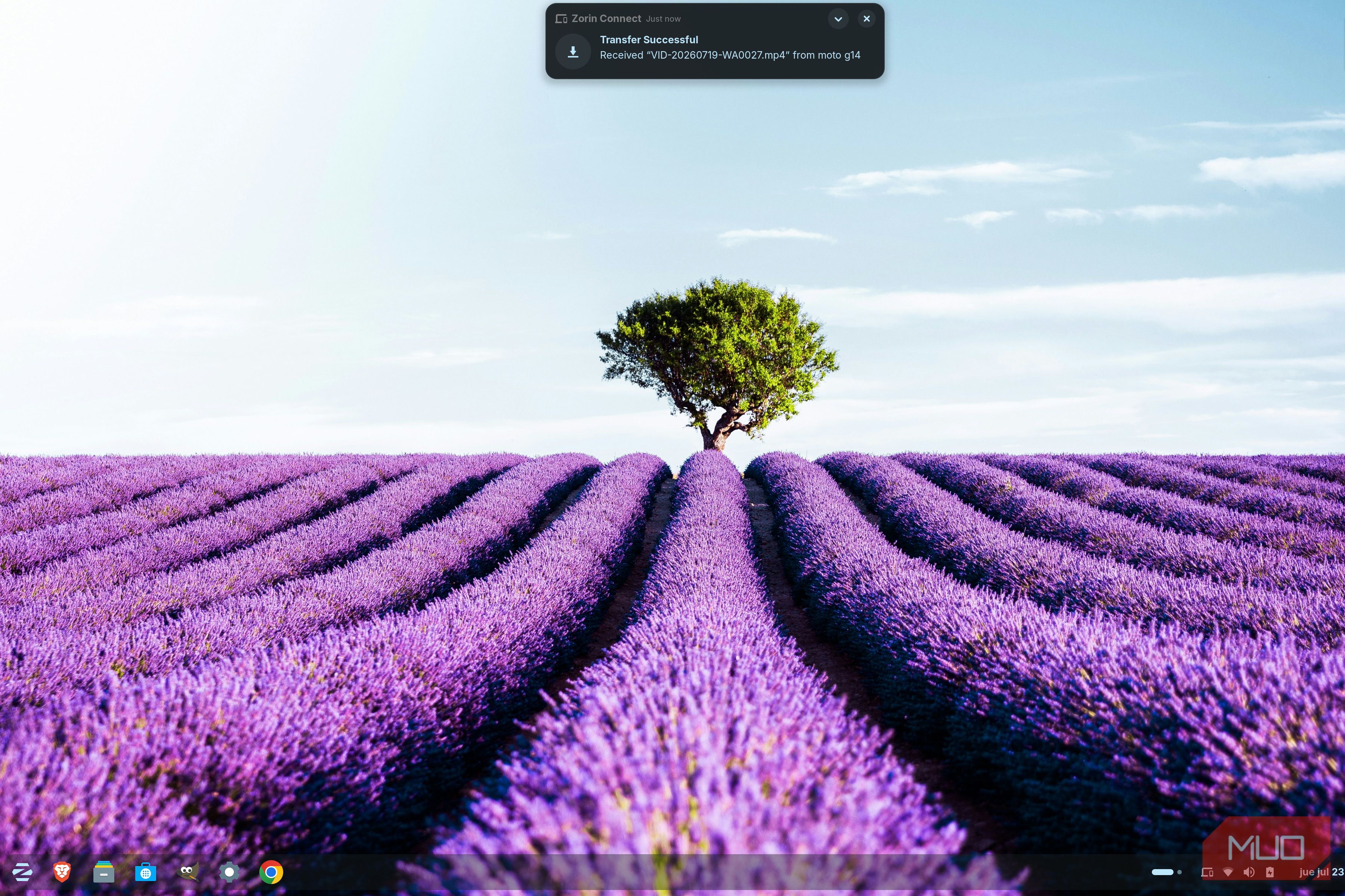 Zorin desktop showing a notification that a file was received