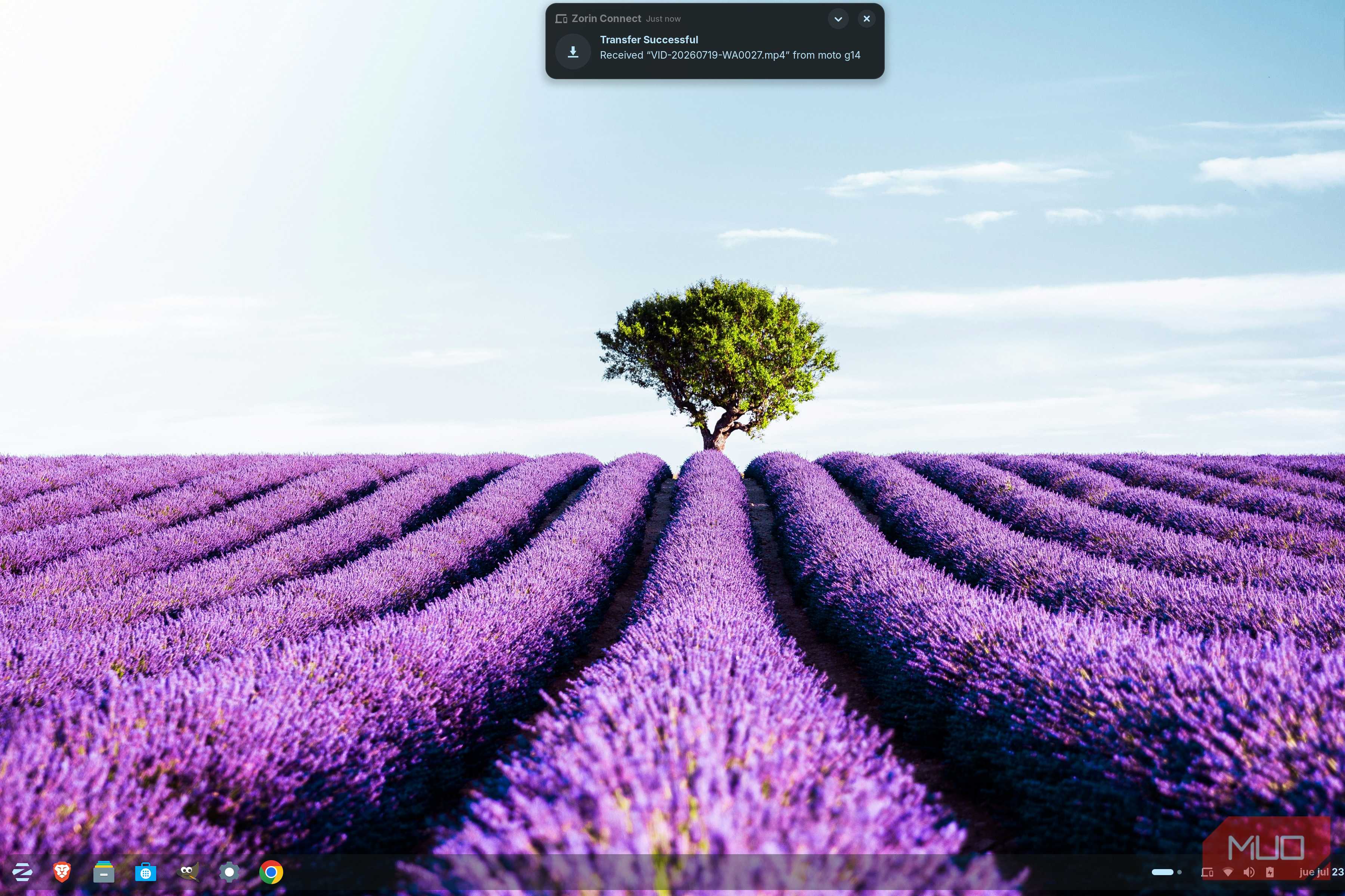 Zorin desktop showing a notification that a file was received