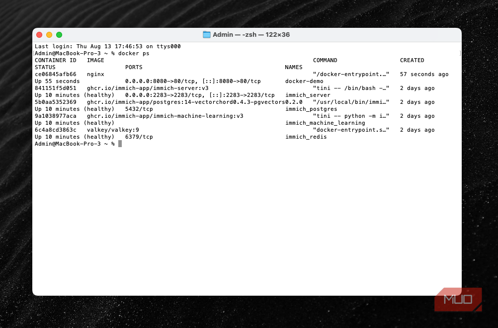 A demo container running in Terminal.
