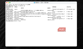 A demo container running in Terminal.