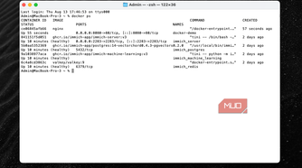 A demo container running in Terminal.