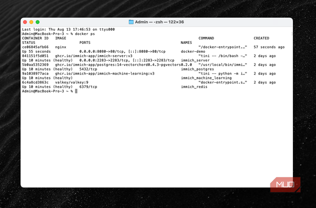 A demo container running in Terminal.