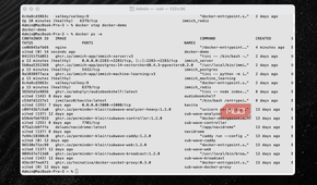 Stopped containers and running containers inside terminal.