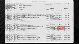 Stopped containers and running containers inside terminal.