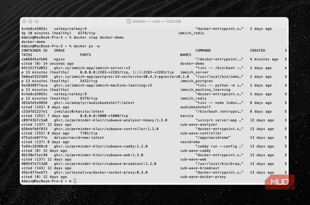 Stopped containers and running containers inside terminal.