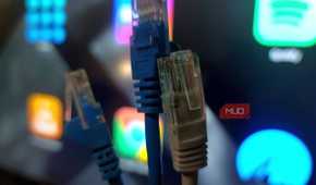 Three ethernet cables, 2 cat5e, 1 cat6a selected for speed testing