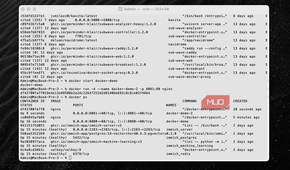Running multiple containers from the same image.