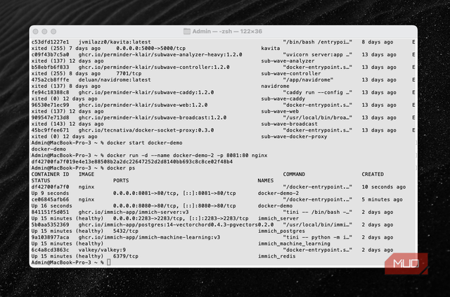 Running multiple containers from the same image.