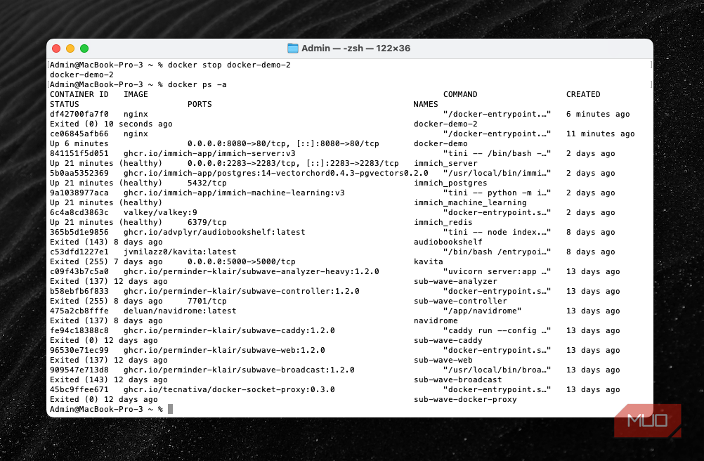 Docker ps -a showing both running and not-running containers.