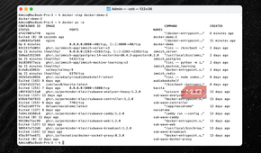 Docker ps -a showing both running and not-running containers.
