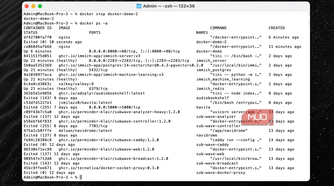 Docker ps -a showing both running and not-running containers.