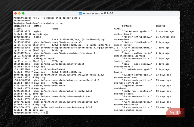 Docker ps -a showing both running and not-running containers.