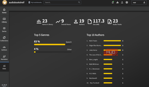 Statistics shown on Audiobookshelf.