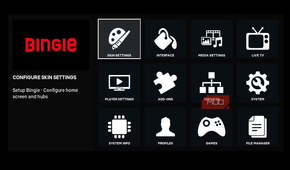 Bingie skin configuration settings.