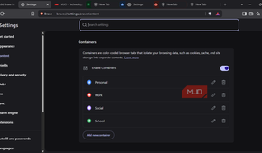 Brave container settings