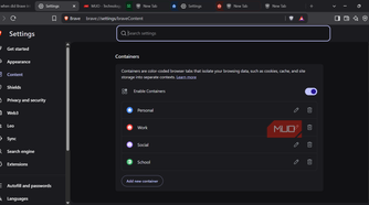 Brave container settings