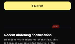 buzzkill showing the rule summary