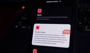 the BuzzKill app showing the Pocket Check function